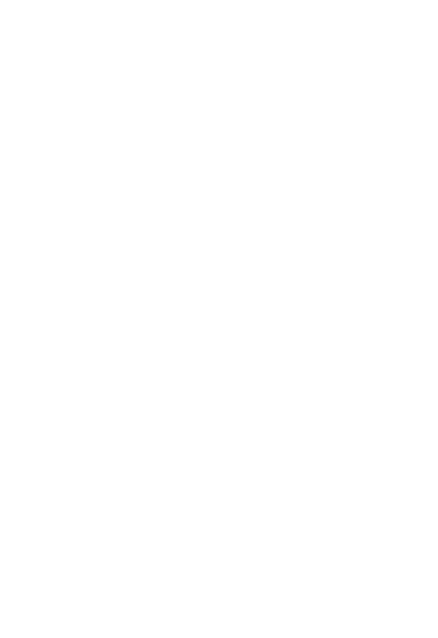 Made in Mexico