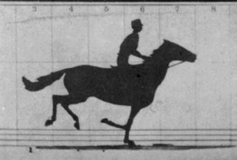 The screen in the electro-photograph