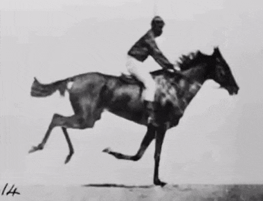 The screen in the automatic electro-photographs