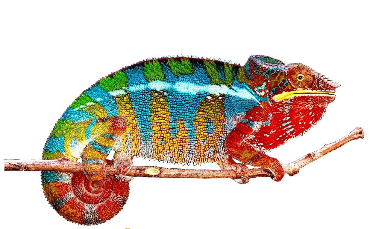 camaleón monitor logo