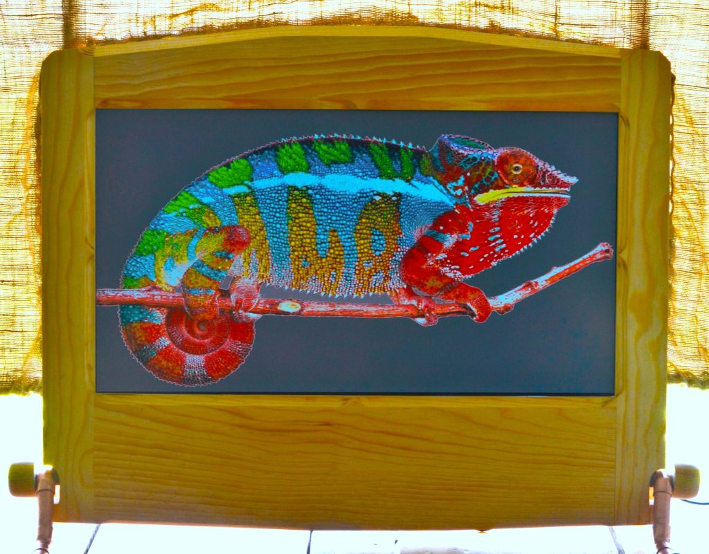 chameleon monitor