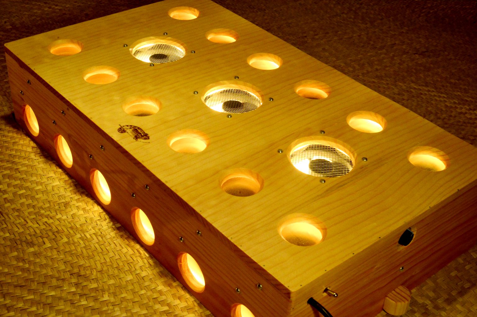 SpectrumView electro-incandescent lightbox