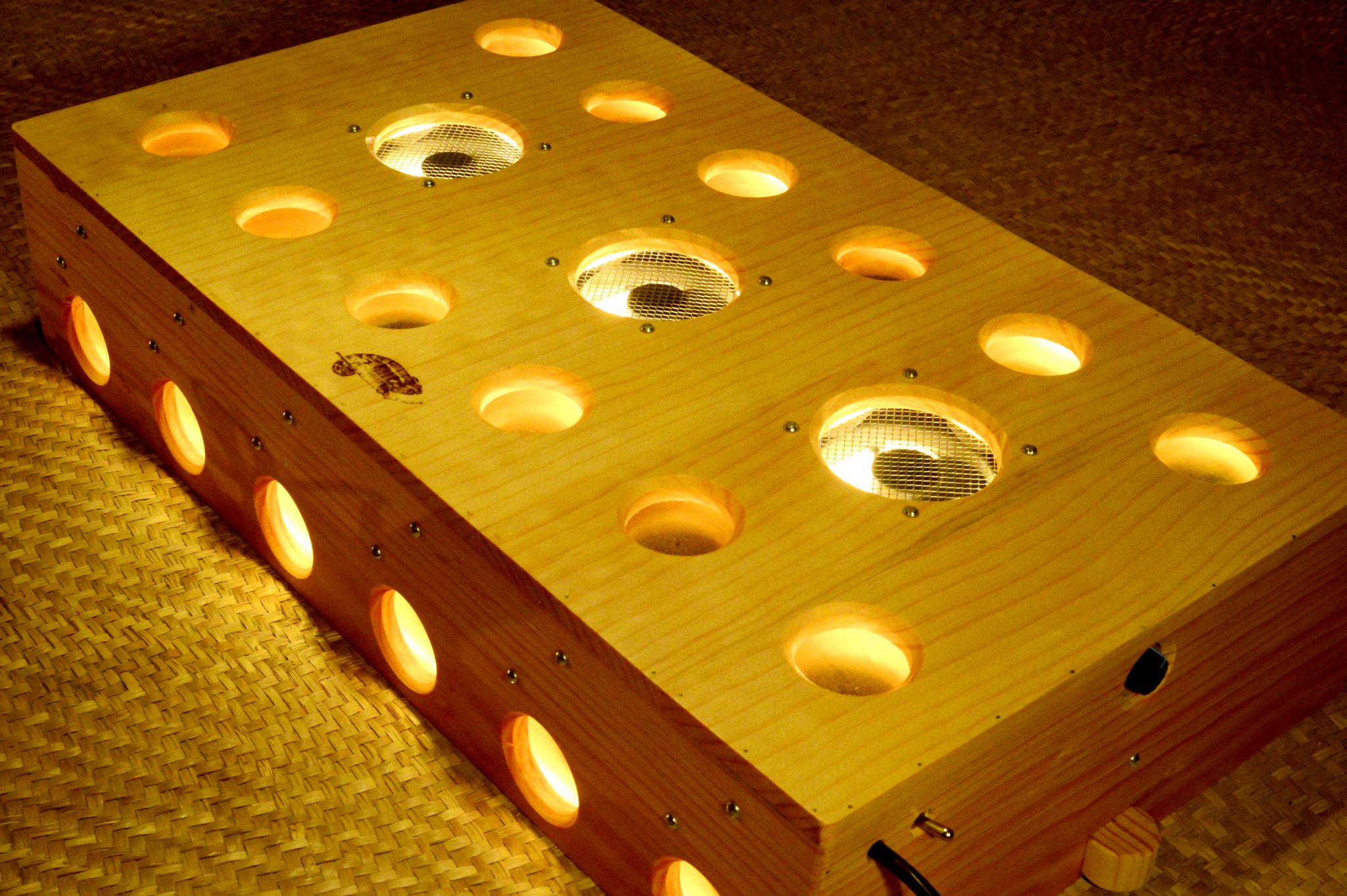 SpectrumView electro-incandescent lightbox