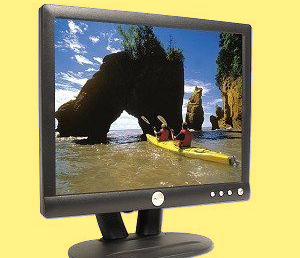 The screen in the fluorescent tube