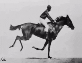 The automatic electro-photograph screen