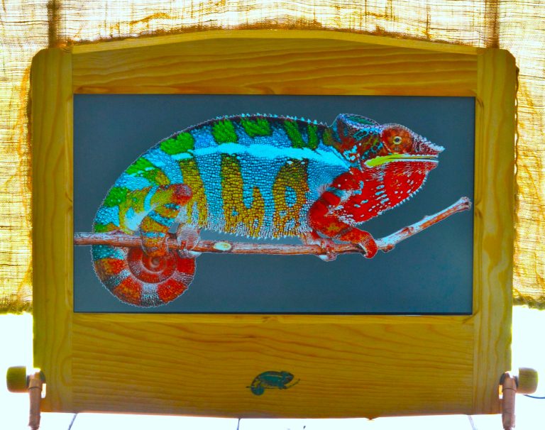 The translucent incandescent day monitor
